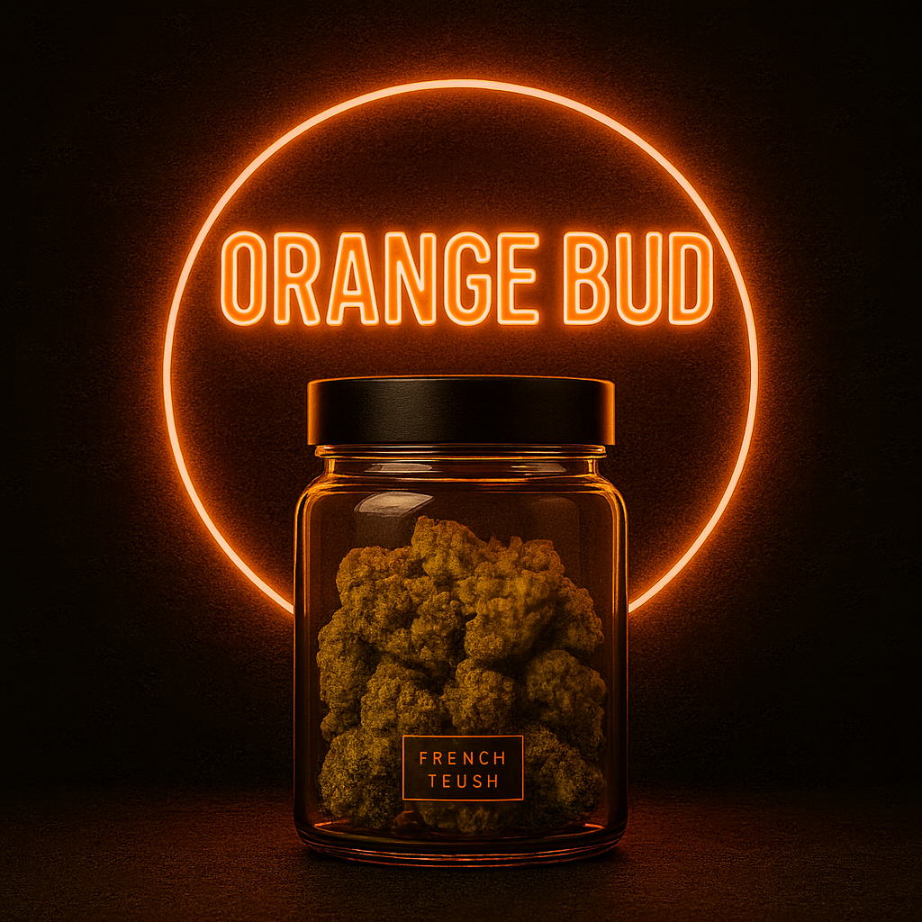 Orange Bud CBD